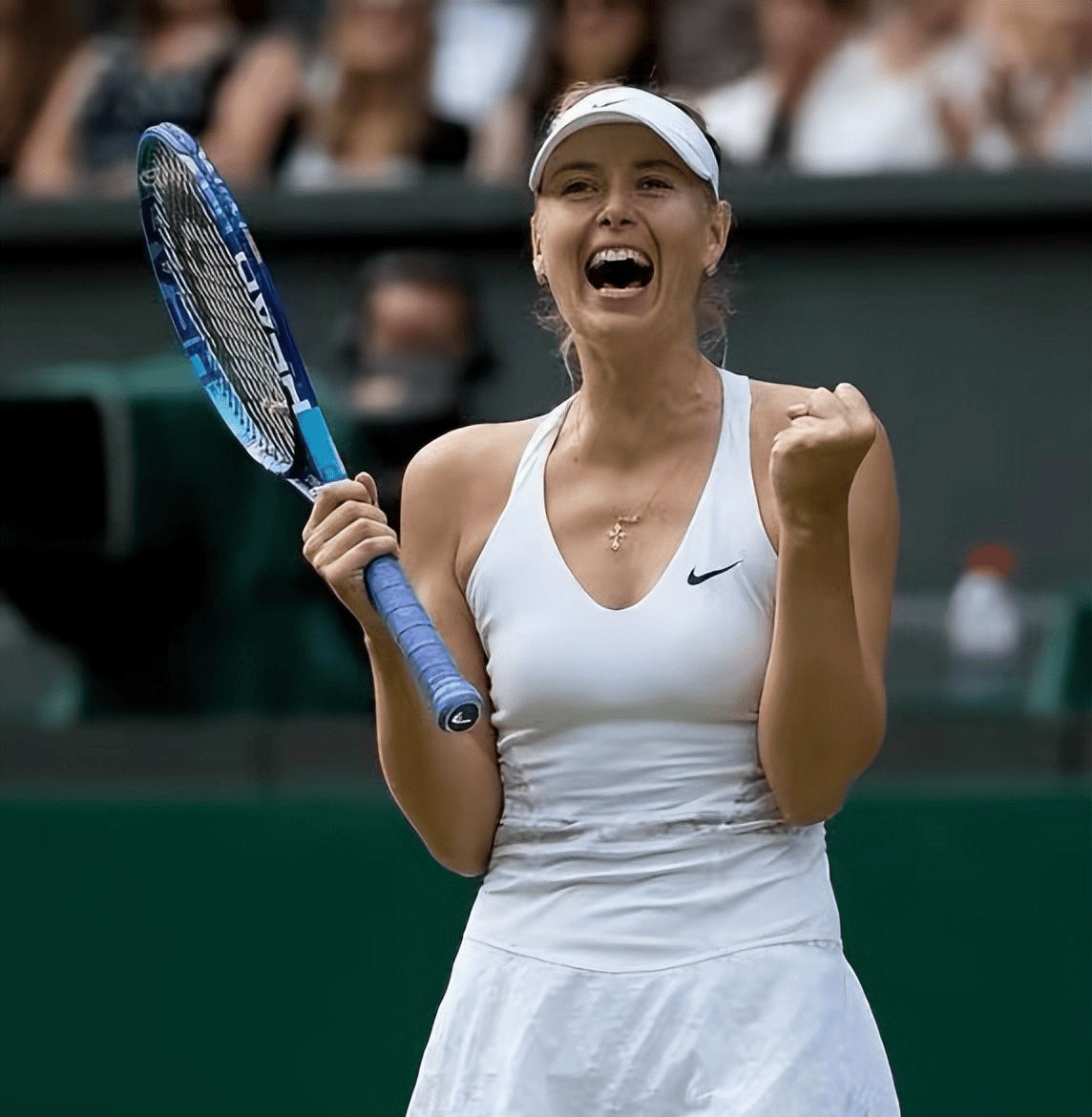 随机莎拉波娃迎来十五赛季出色发挥，湖人观众热烈欢呼！